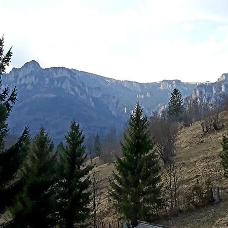 Pensiunea Bobu Izvoru Muntelui Exterior foto