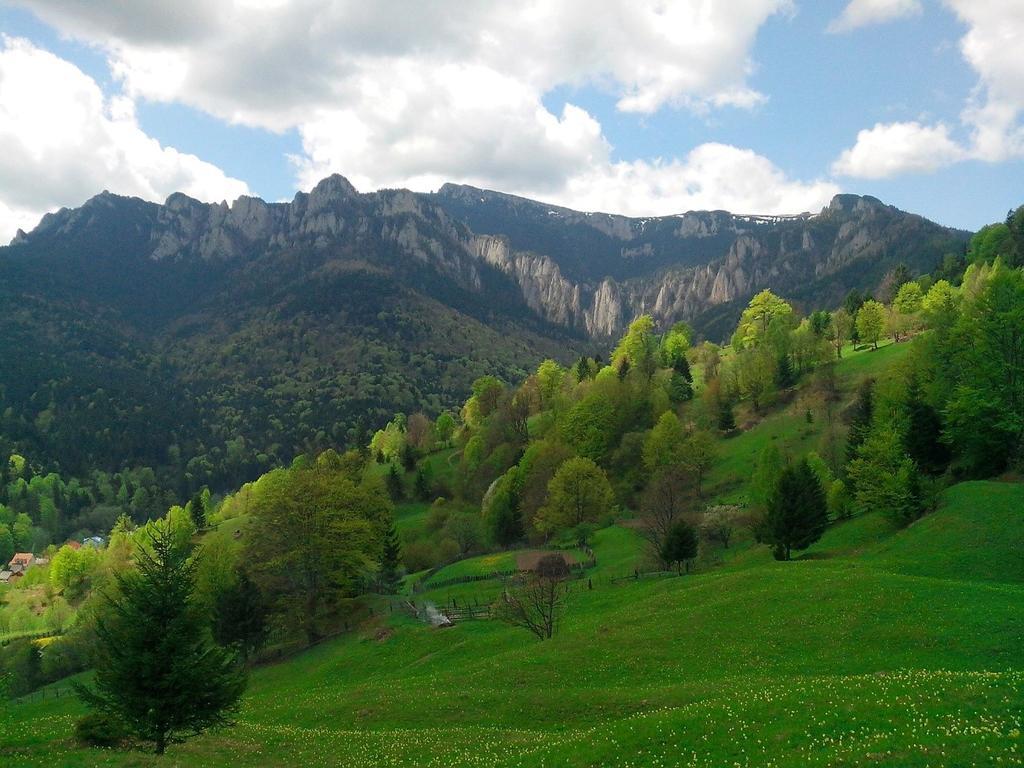 Pensiunea Bobu Izvoru Muntelui Exterior foto