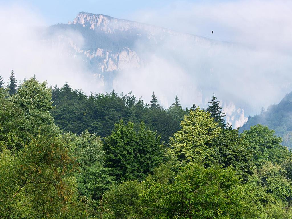Pensiunea Bobu Izvoru Muntelui Exterior foto