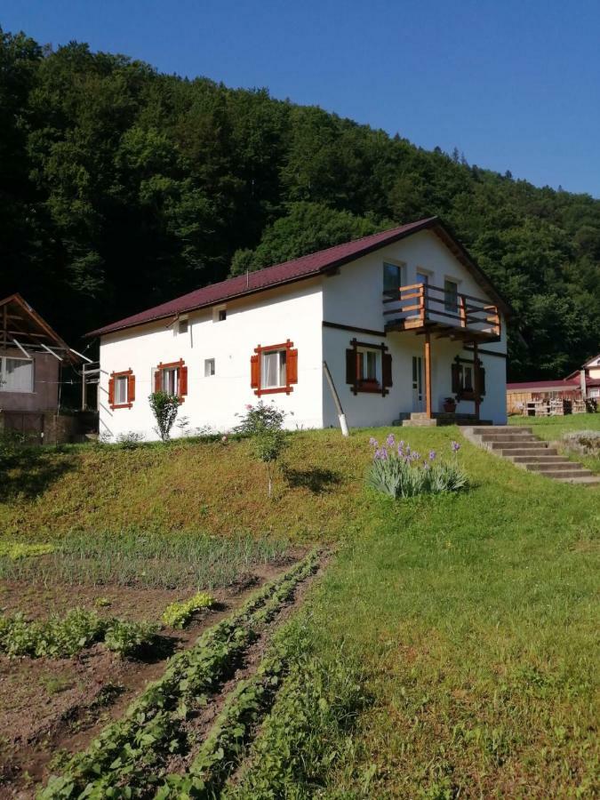 Pensiunea Bobu Izvoru Muntelui Exterior foto