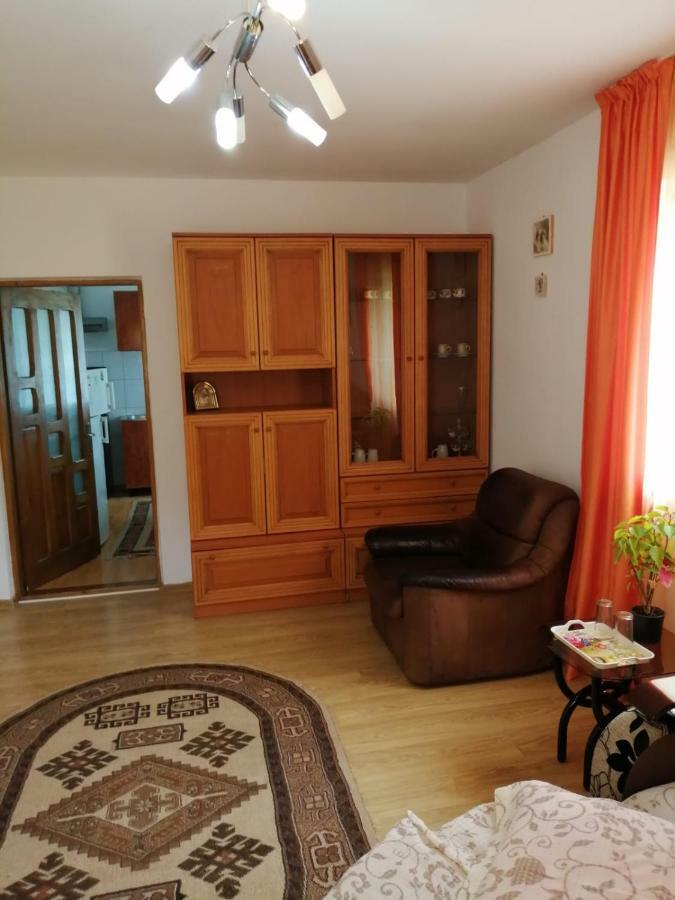 Pensiunea Bobu Izvoru Muntelui Exterior foto