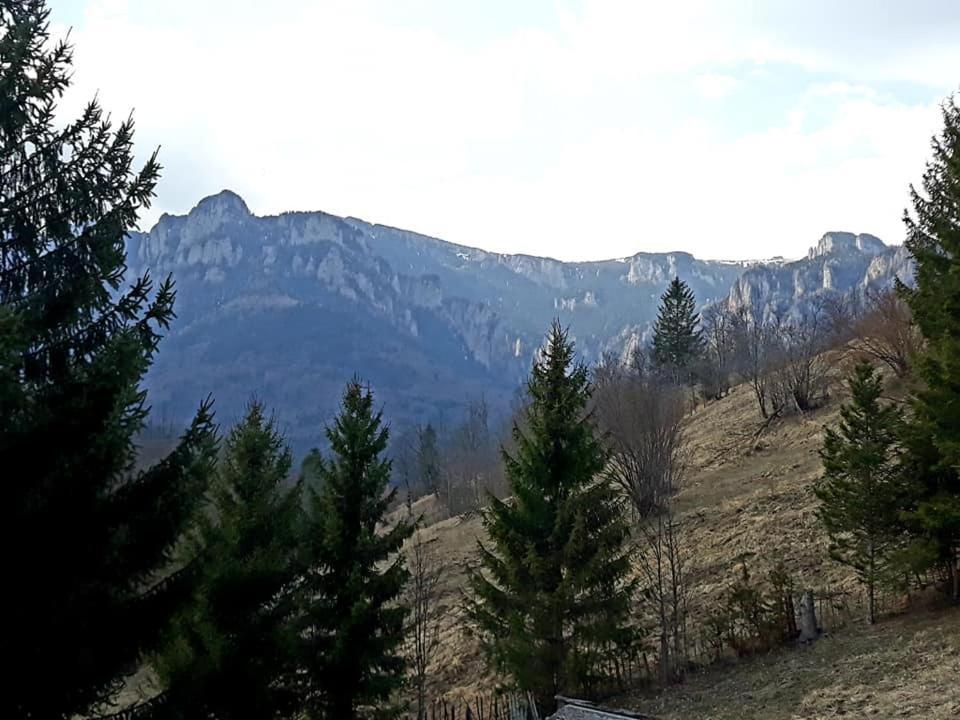 Pensiunea Bobu Izvoru Muntelui Exterior foto